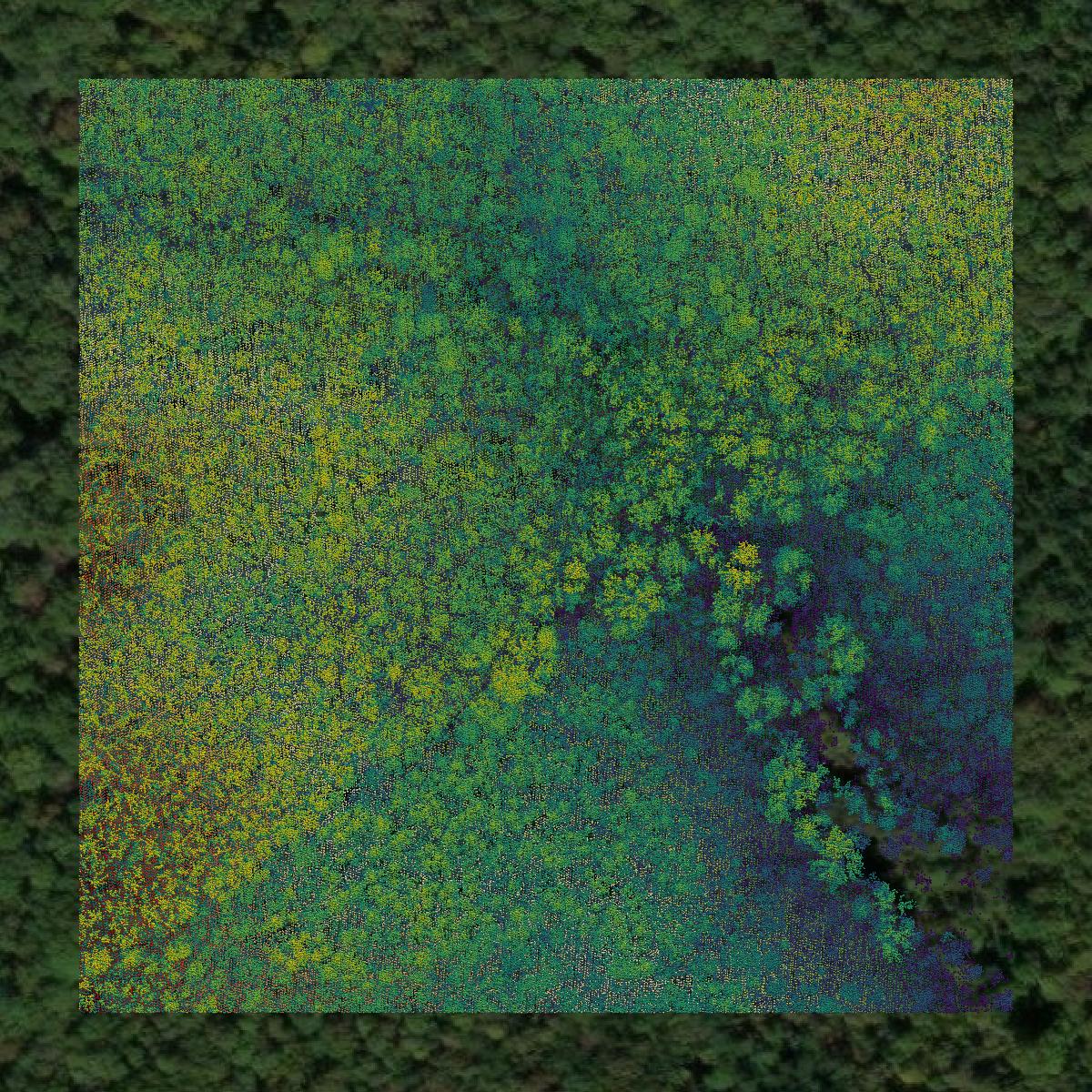 This image shows a LiDAR point cloud in Fluvanna County created using GIS data in Equator.