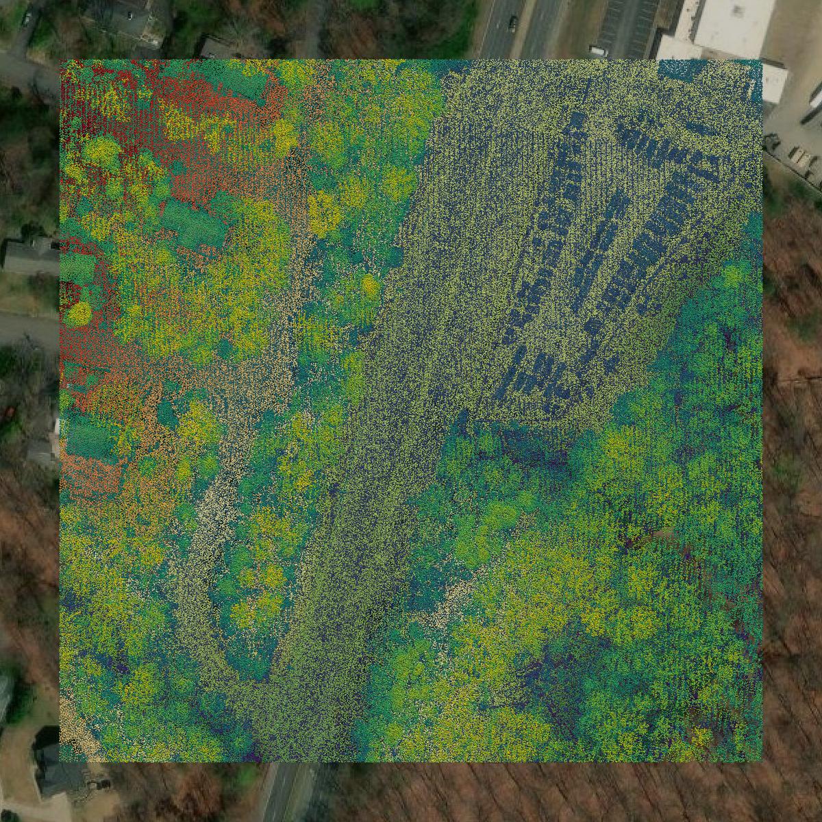This image shows a LiDAR point cloud in Fredericksburg city created using GIS data in Equator.
