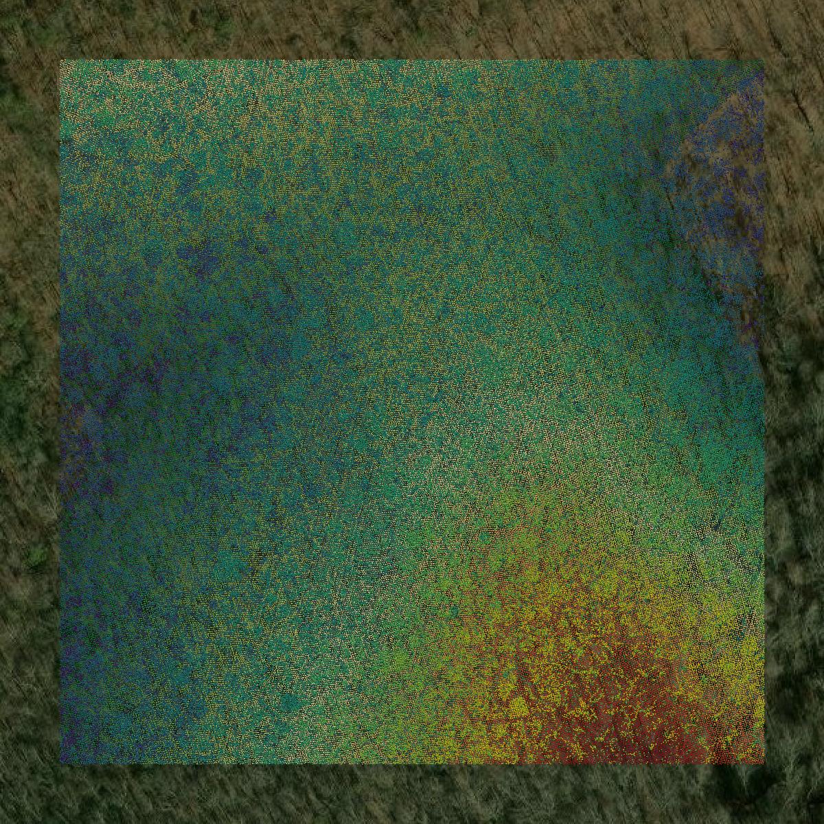 This image shows a LiDAR point cloud in Giles County created using GIS data in Equator.