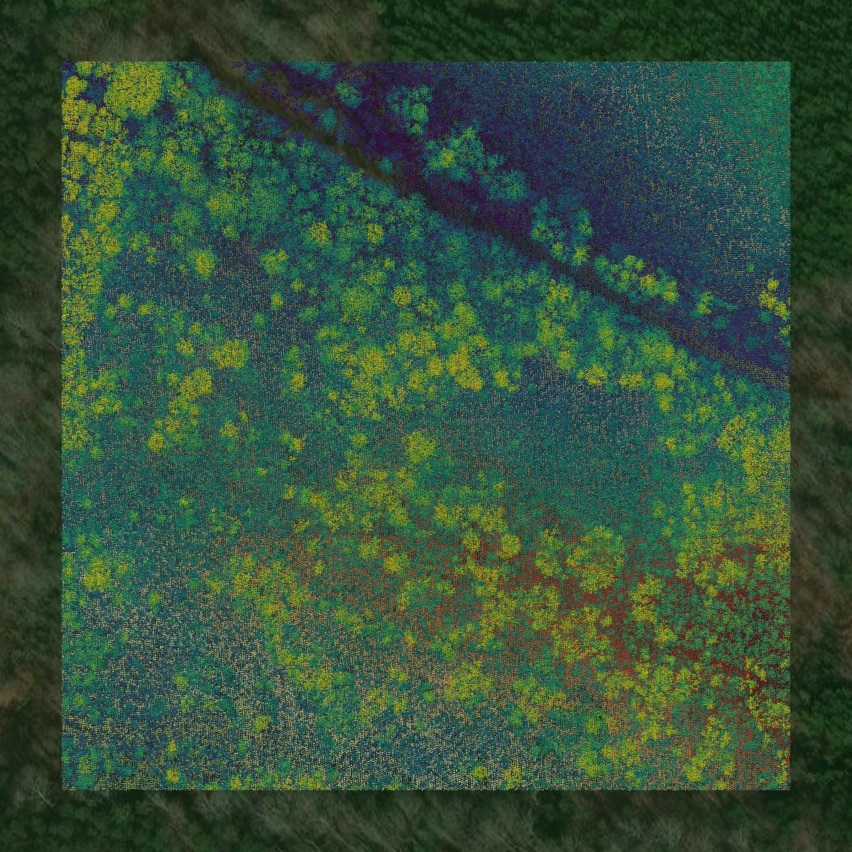 This image shows a LiDAR point cloud in Goochland County created using GIS data in Equator.