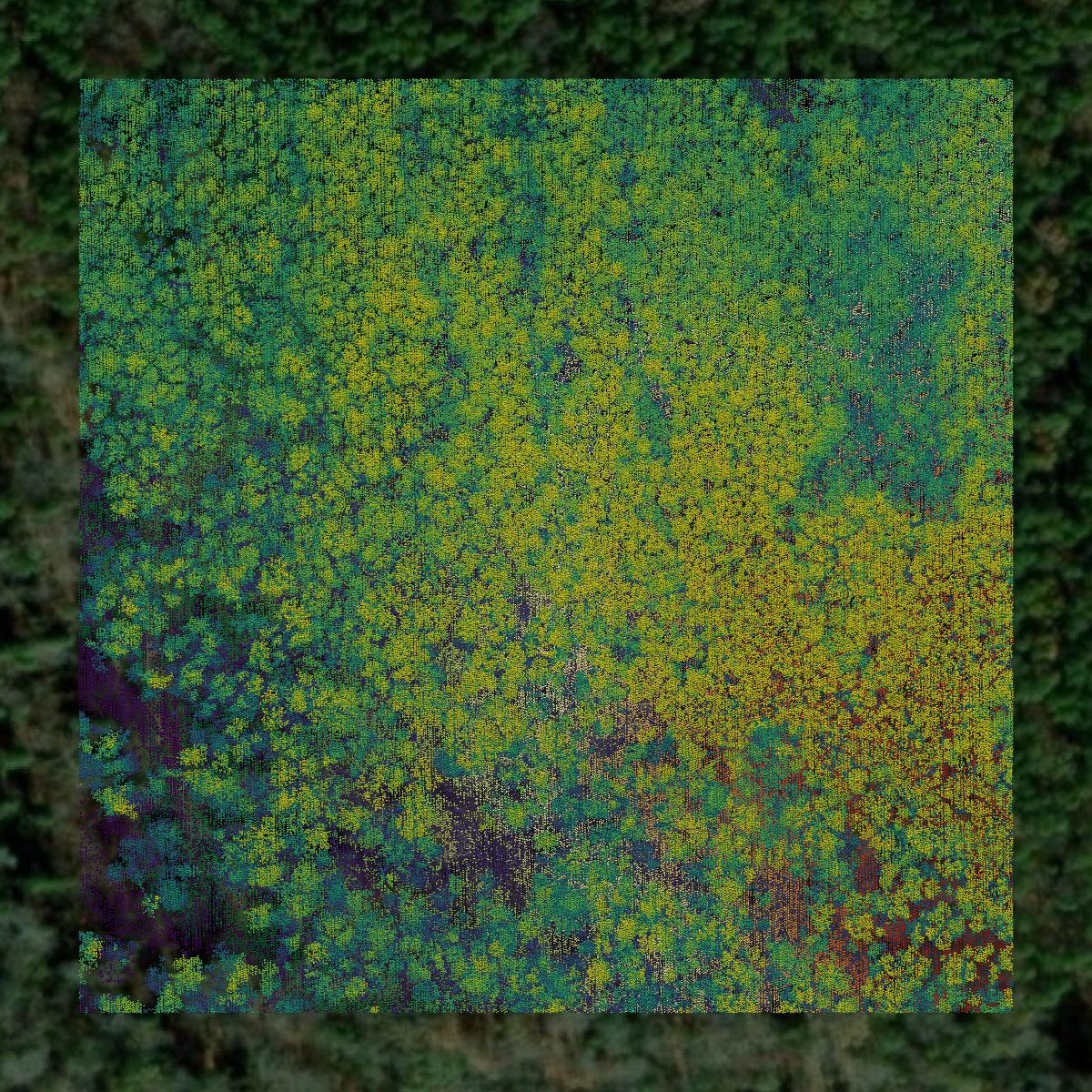 This image shows a LiDAR point cloud in Goochland County created using GIS data in Equator.