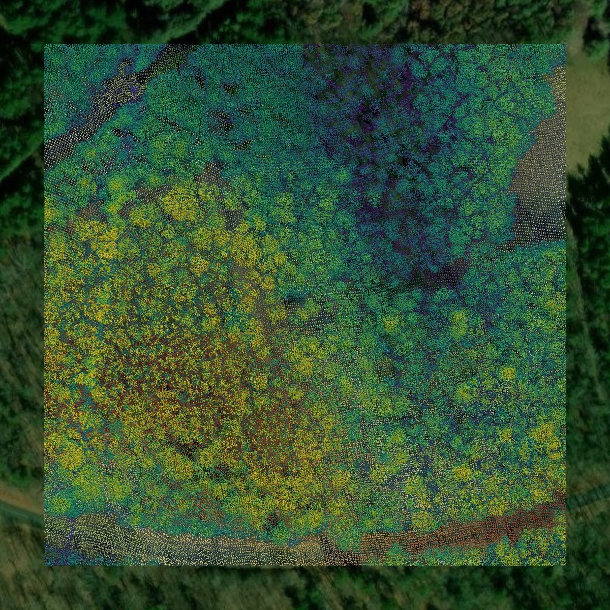 This image shows a LiDAR point cloud in Grayson County created using GIS data in Equator.