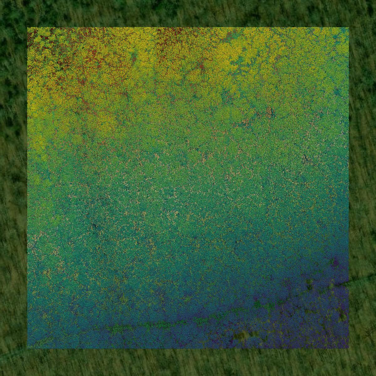 This image shows a LiDAR point cloud in Grayson County created using GIS data in Equator.