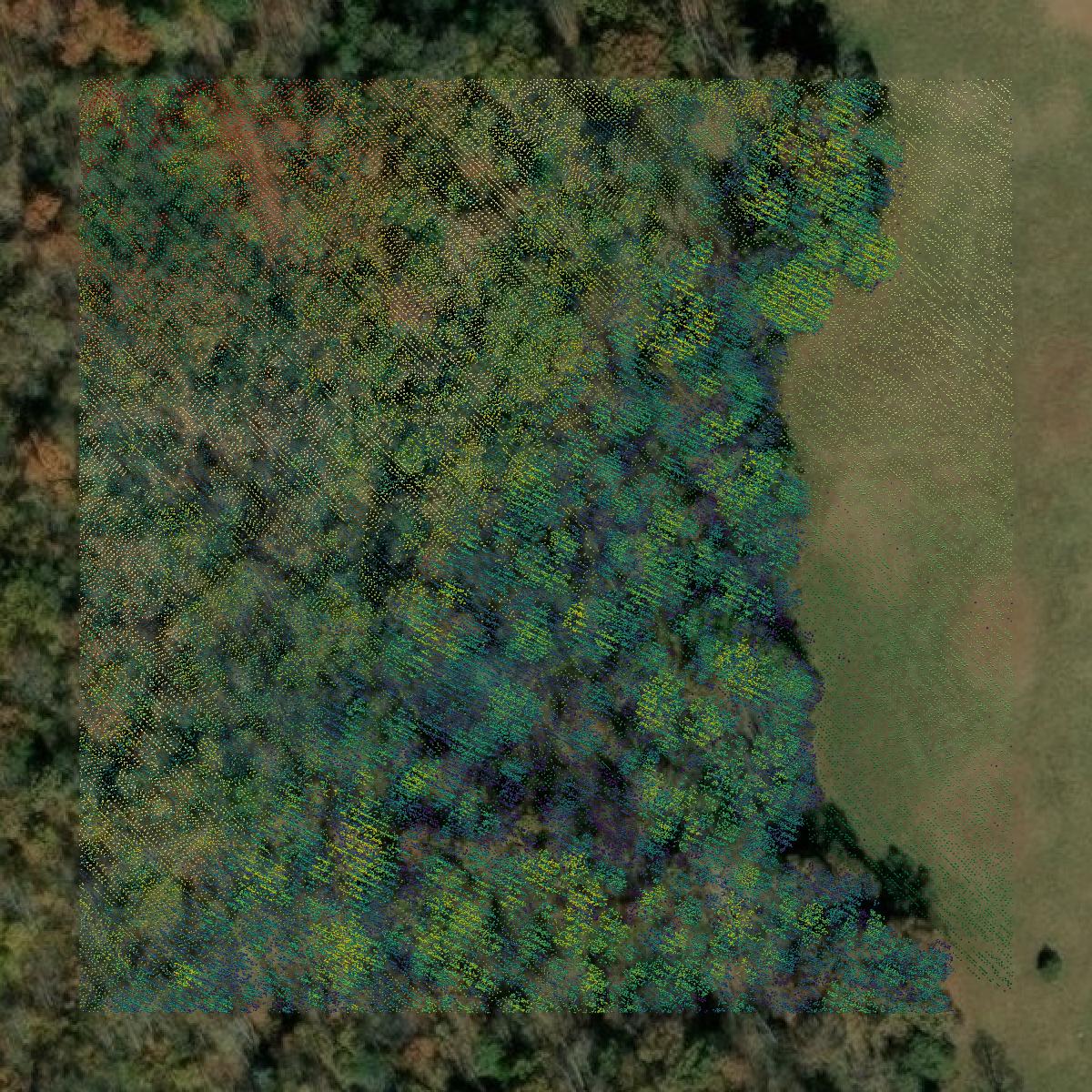 This image shows a LiDAR point cloud in Greene County created using GIS data in Equator.