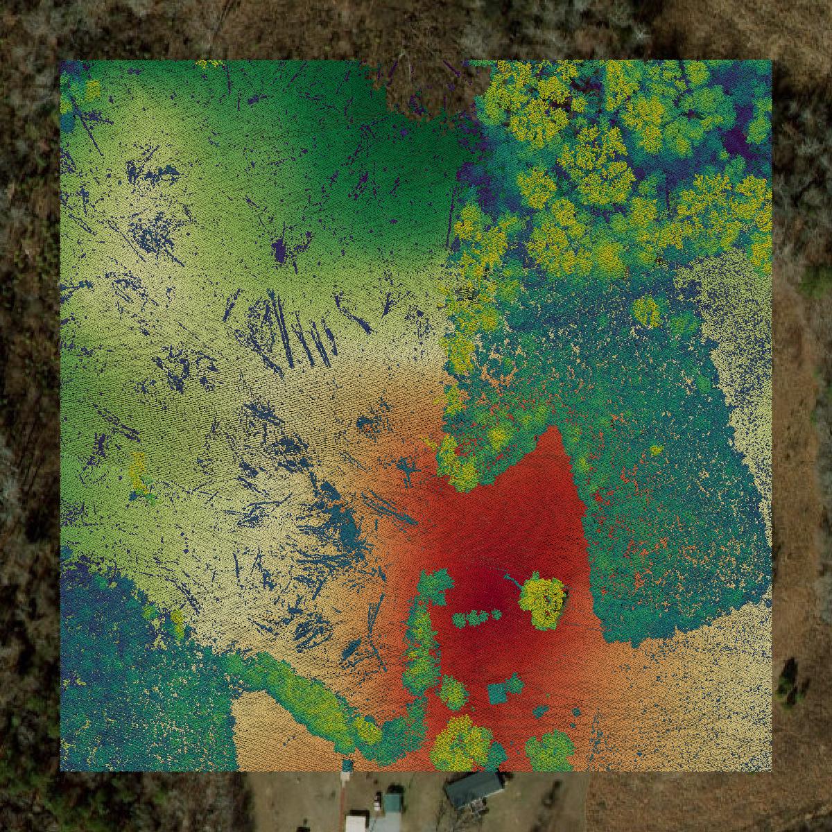 This image shows a LiDAR point cloud in Greensville County created using GIS data in Equator.