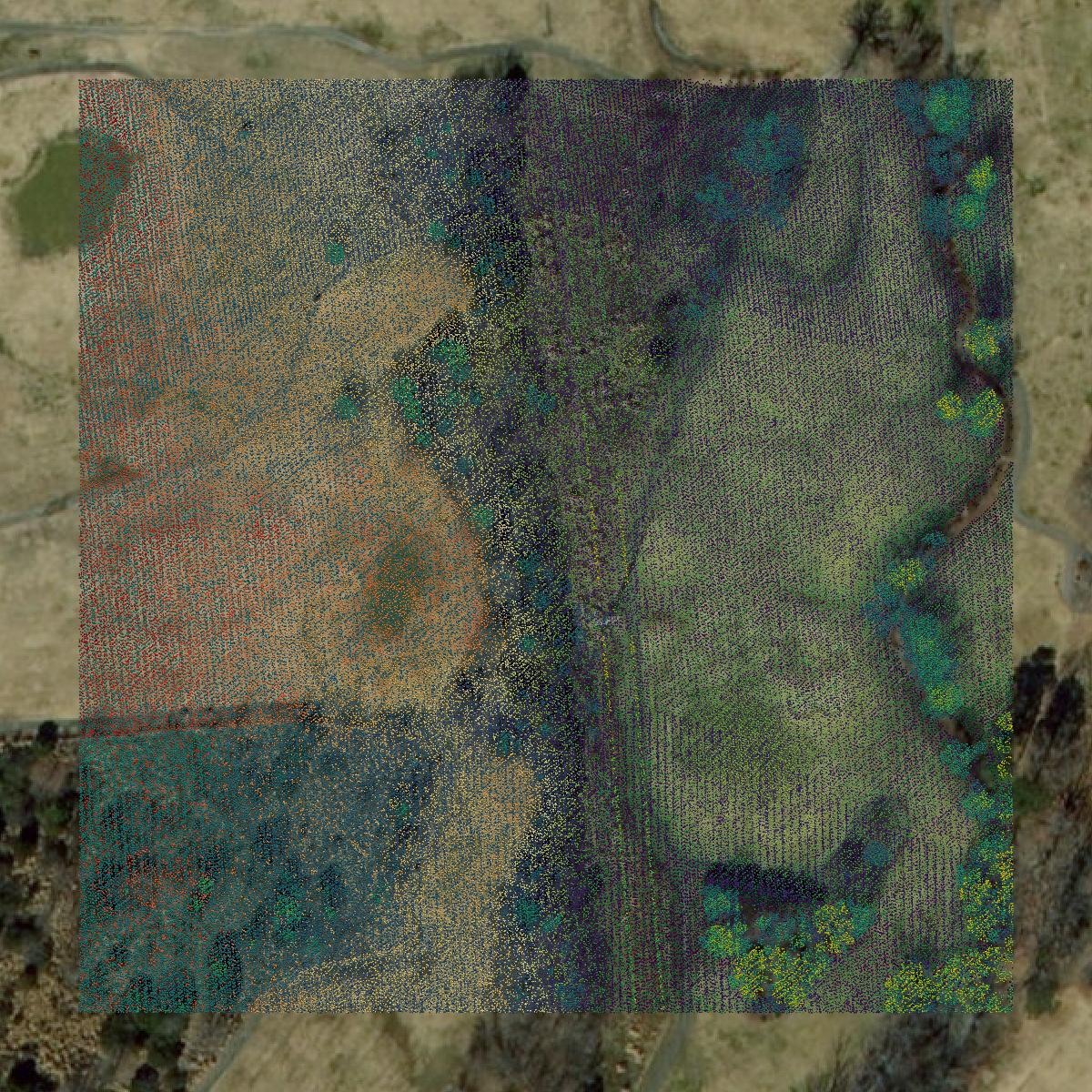 This image shows a LiDAR point cloud in Hampton city created using GIS data in Equator.