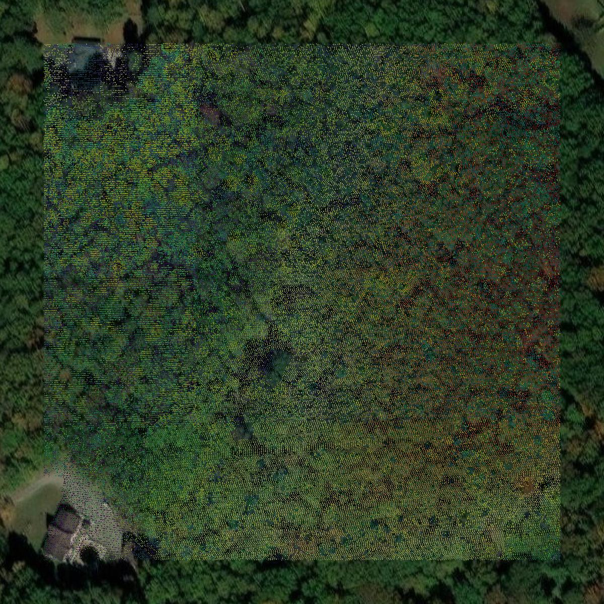 This image shows a LiDAR point cloud in Hanover County created using GIS data in Equator.