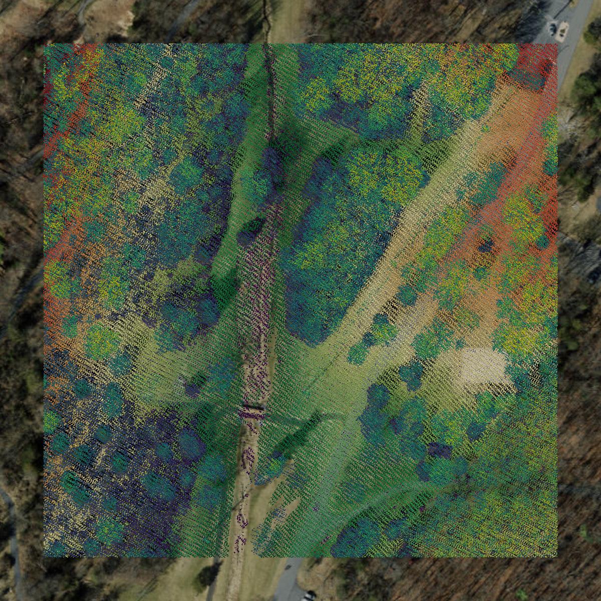 This image shows a LiDAR point cloud in Harrisonburg city created using GIS data in Equator.