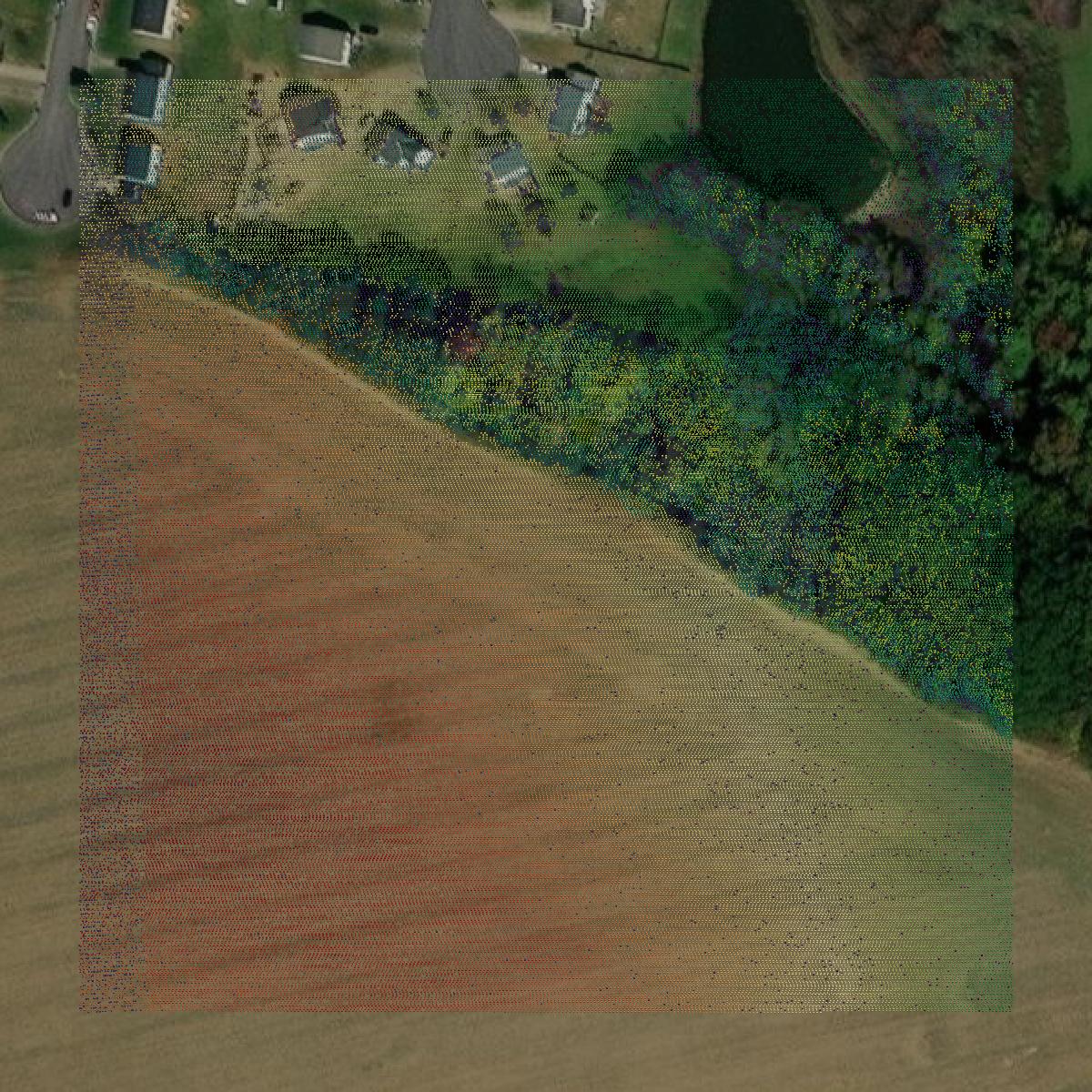 This image shows a LiDAR point cloud in Henrico County created using GIS data in Equator.