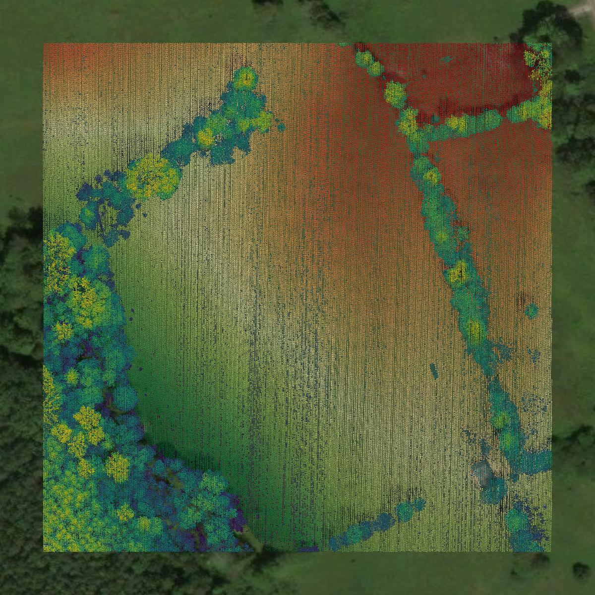 This image shows a LiDAR point cloud in Henry County created using GIS data in Equator.