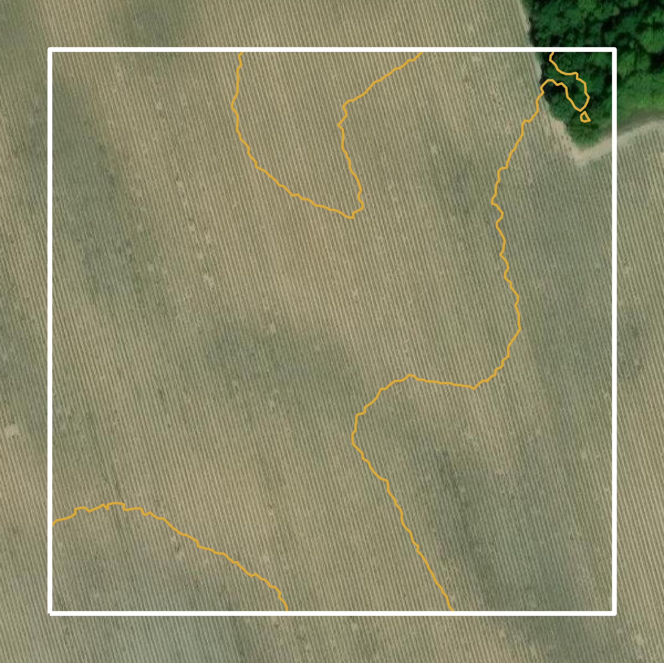 This image shows a contour map in Isle of Wight County created using GIS data in Equator.