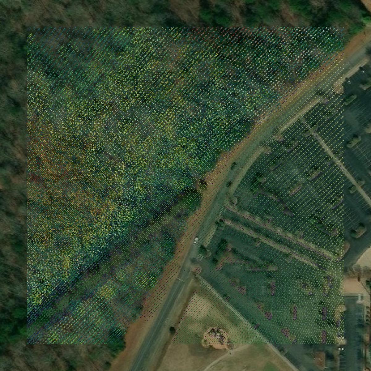This image shows a LiDAR point cloud in James City County created using GIS data in Equator.
