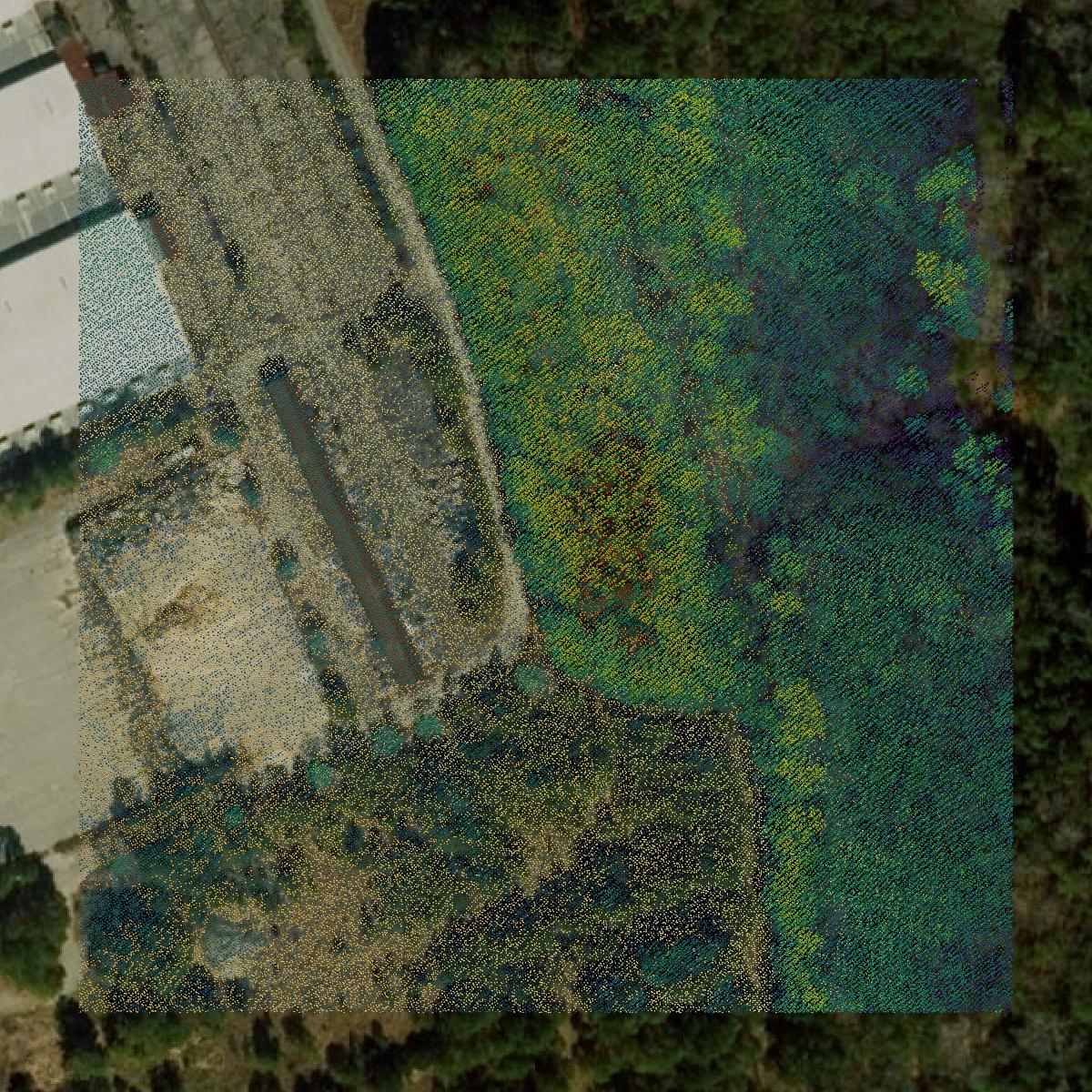 This image shows a LiDAR point cloud in James City County created using GIS data in Equator.