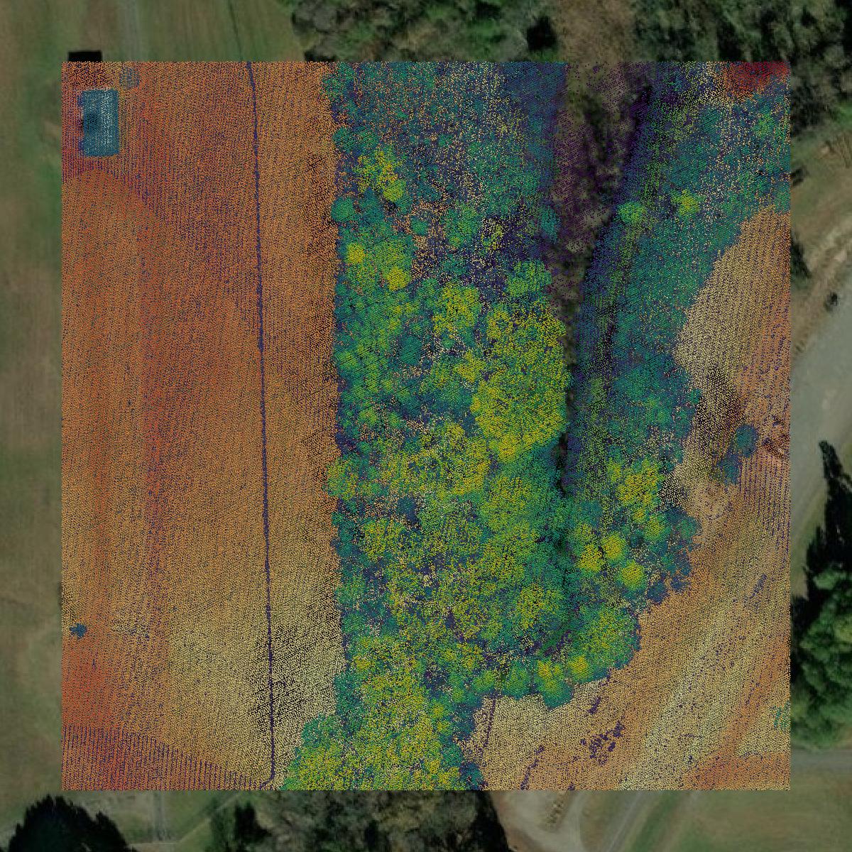 This image shows a LiDAR point cloud in King George County created using GIS data in Equator.
