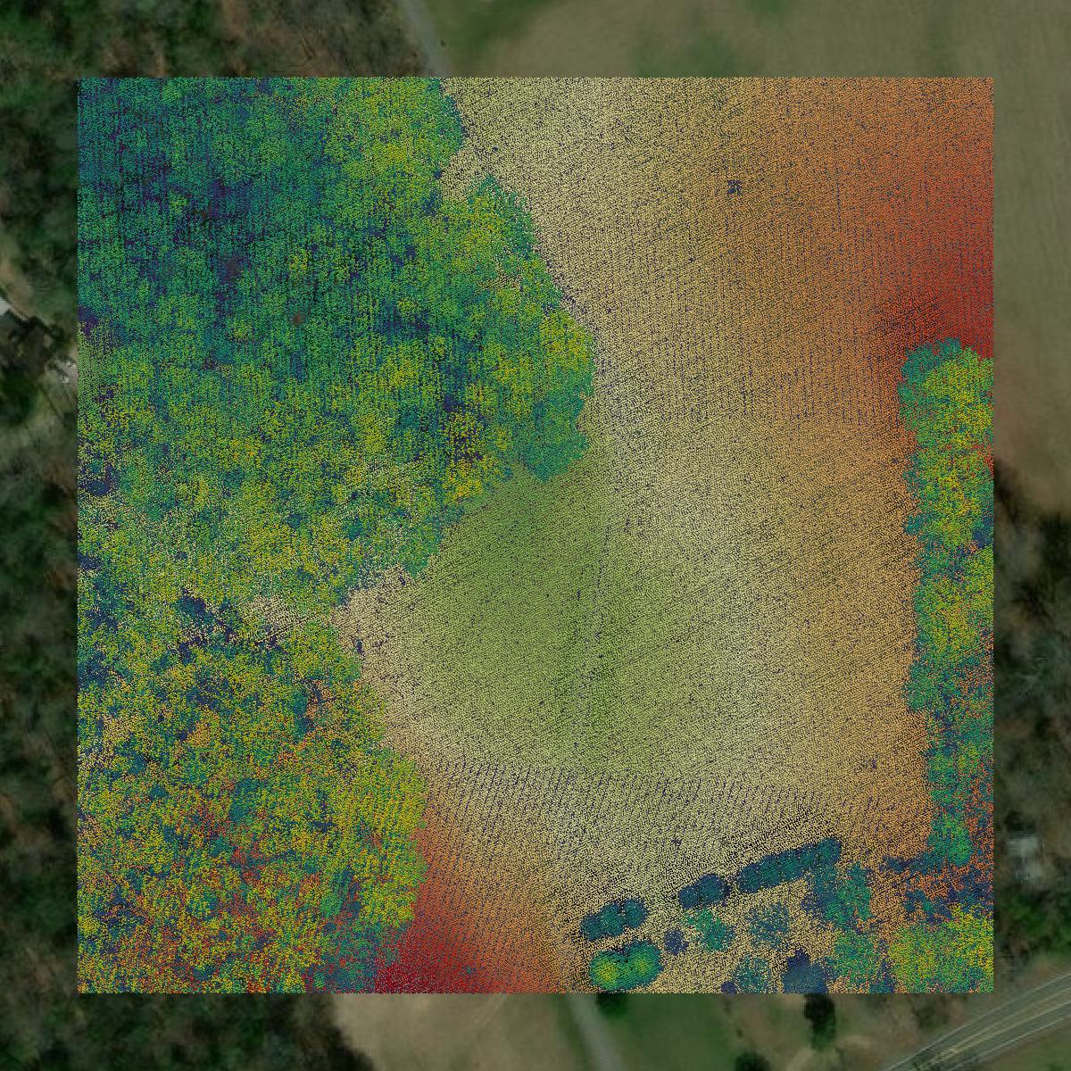 This image shows a LiDAR point cloud in King George County created using GIS data in Equator.
