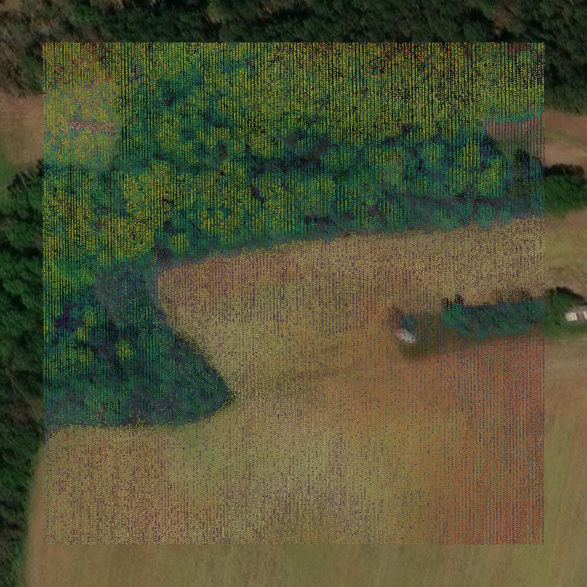 This image shows a LiDAR point cloud in King William County created using GIS data in Equator.