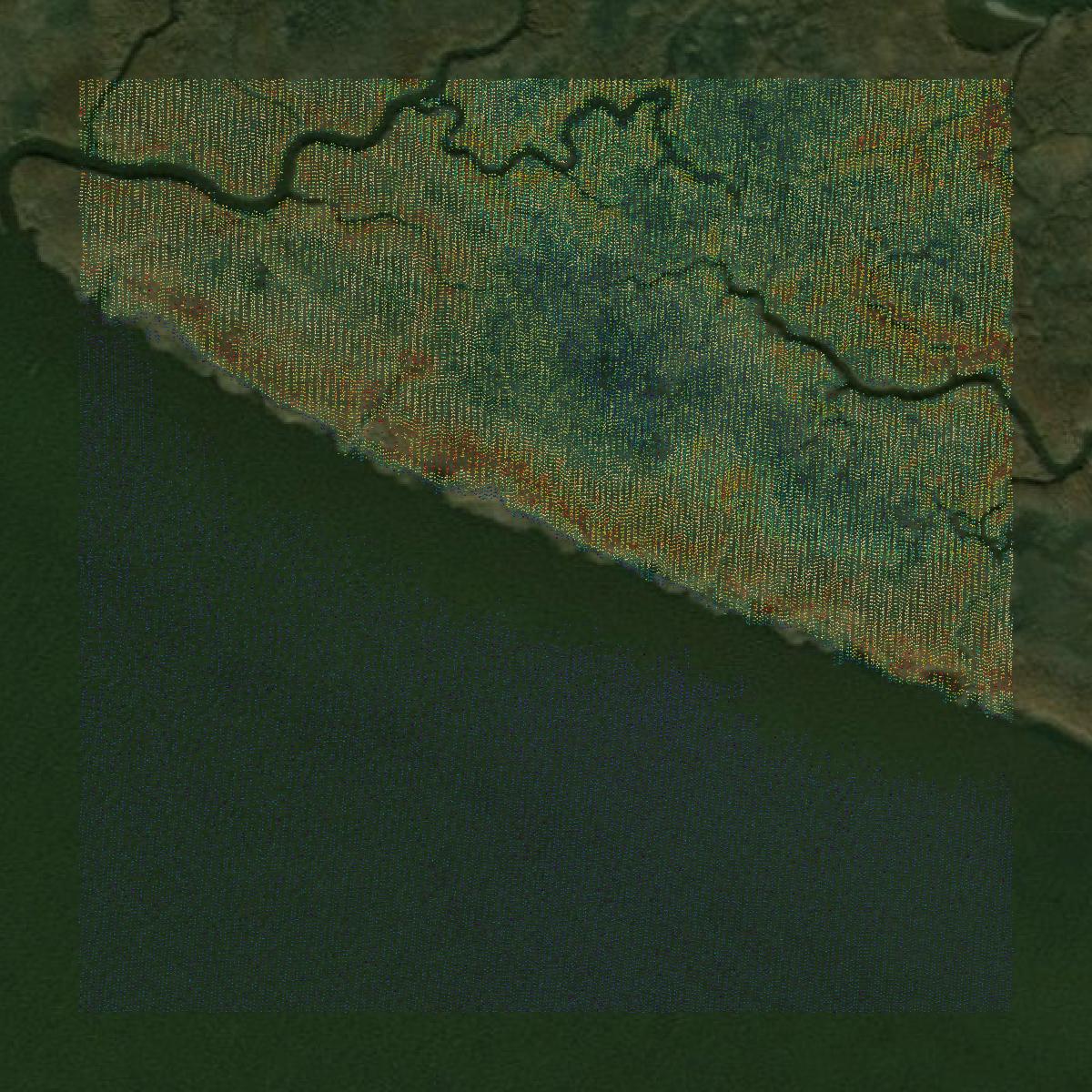 This image shows a LiDAR point cloud in King William County created using GIS data in Equator.