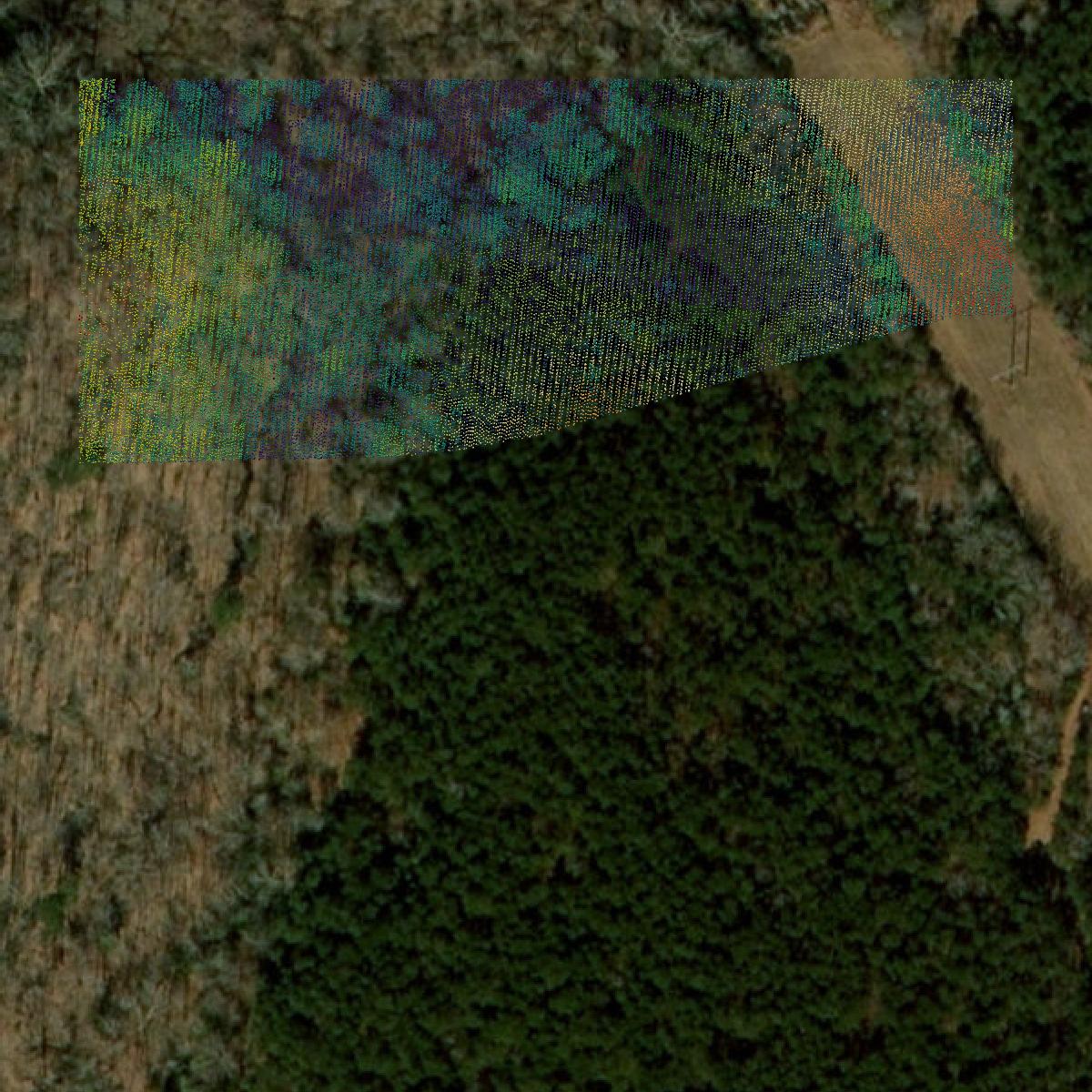 This image shows a LiDAR point cloud in Lancaster County created using GIS data in Equator.