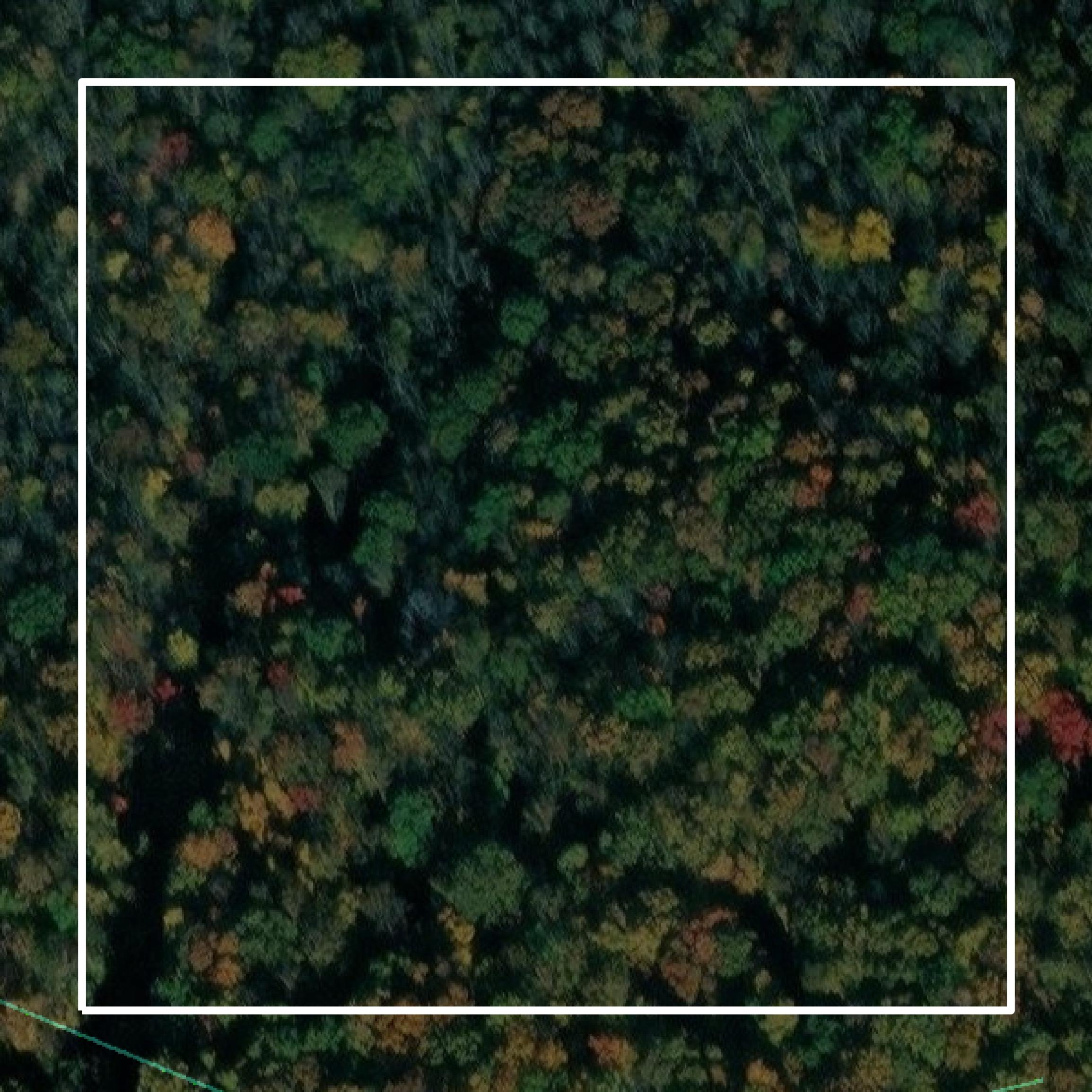This image shows parcel and building data in Lee County created using GIS data in Equator.