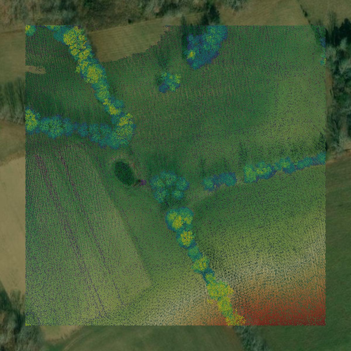 This image shows a LiDAR point cloud in Lee County created using GIS data in Equator.
