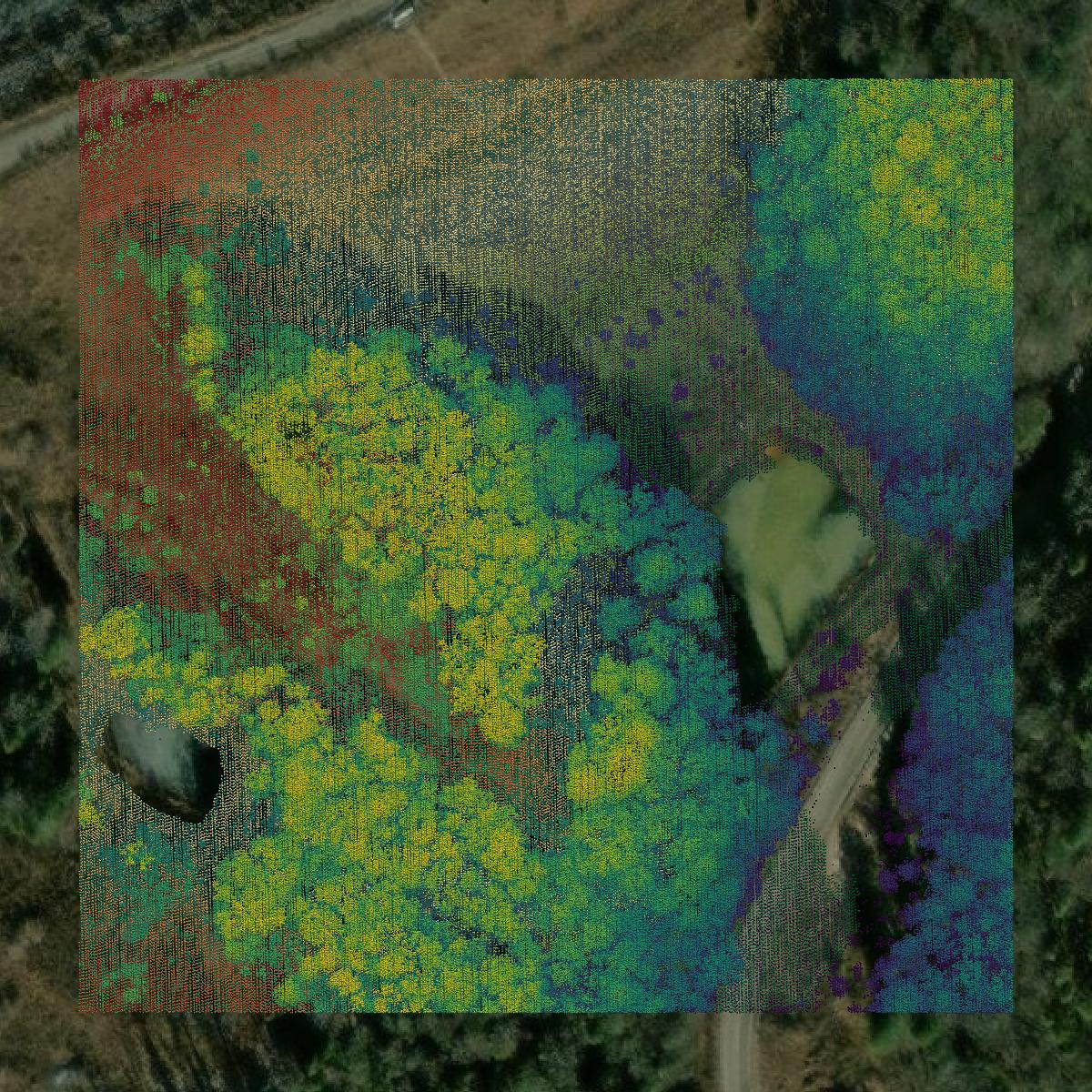 This image shows a LiDAR point cloud in Lee County created using GIS data in Equator.