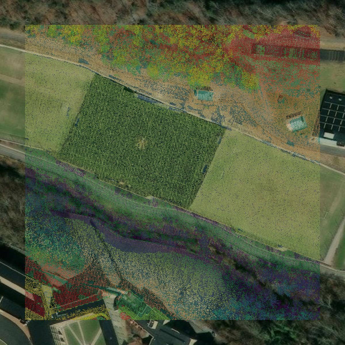 This image shows a LiDAR point cloud in Lexington city created using GIS data in Equator.