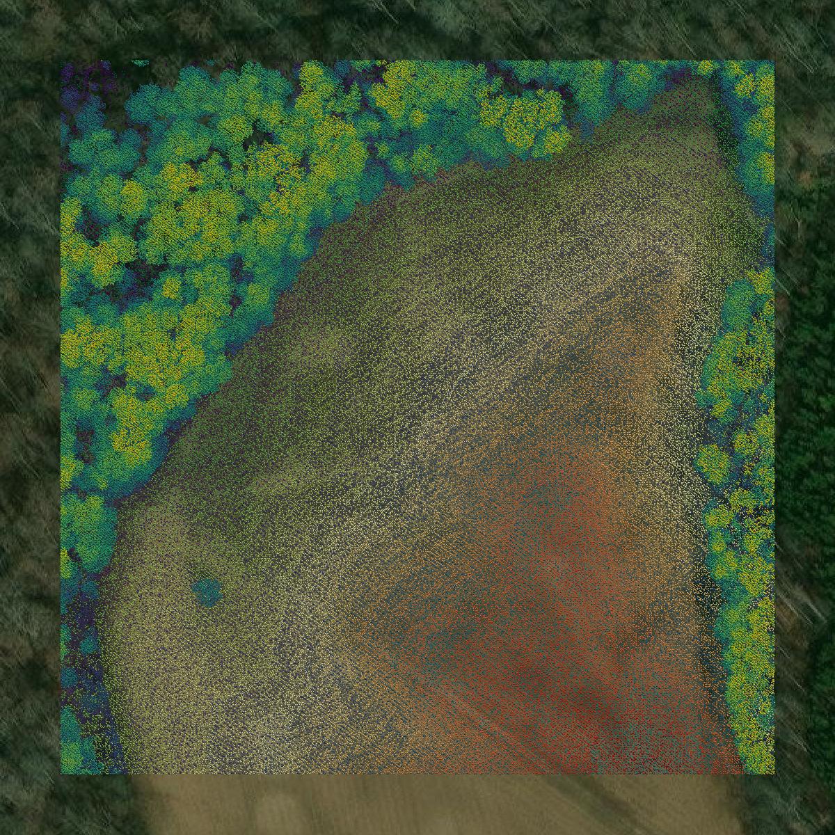 This image shows a LiDAR point cloud in Louisa County created using GIS data in Equator.