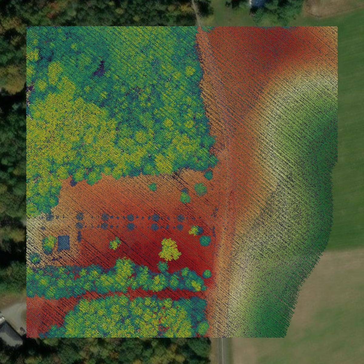 This image shows a LiDAR point cloud in Louisa County created using GIS data in Equator.