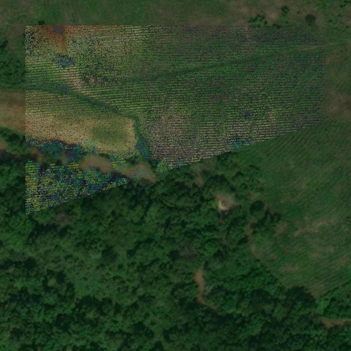 This image shows a LiDAR point cloud in Lunenburg County created using GIS data in Equator.