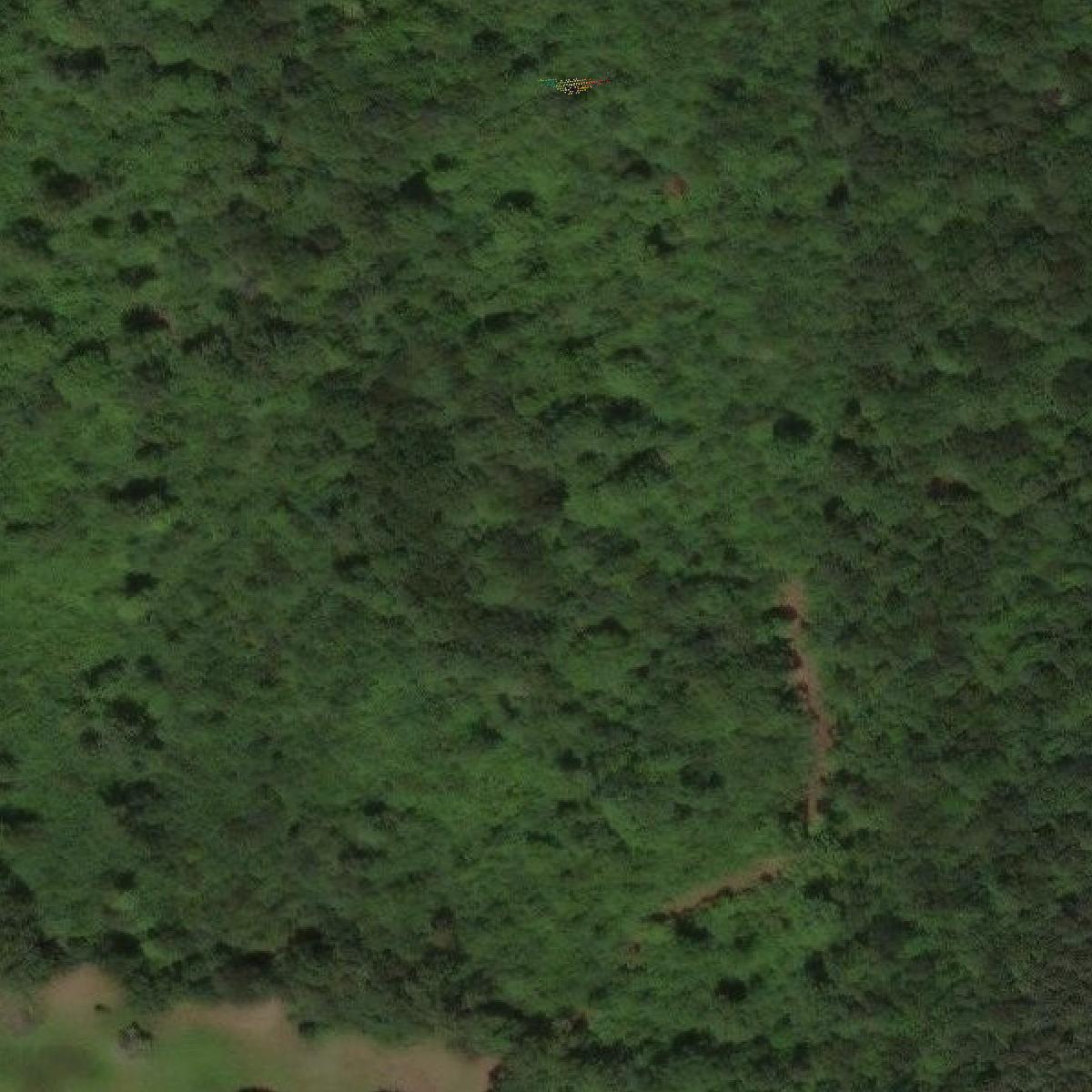 This image shows a LiDAR point cloud in Lunenburg County created using GIS data in Equator.