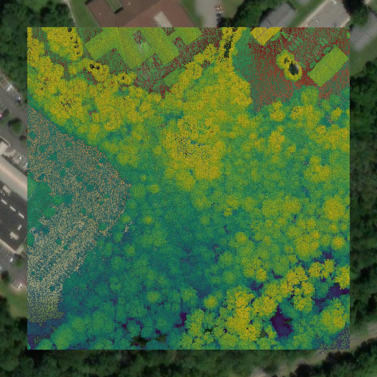 This image shows a LiDAR point cloud in Lynchburg city created using GIS data in Equator.