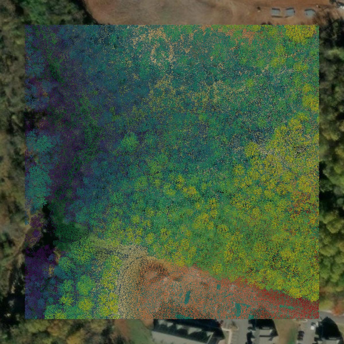 This image shows a LiDAR point cloud in Lynchburg city created using GIS data in Equator.