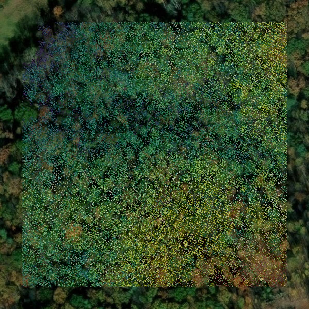 This image shows a LiDAR point cloud in Madison County created using GIS data in Equator.