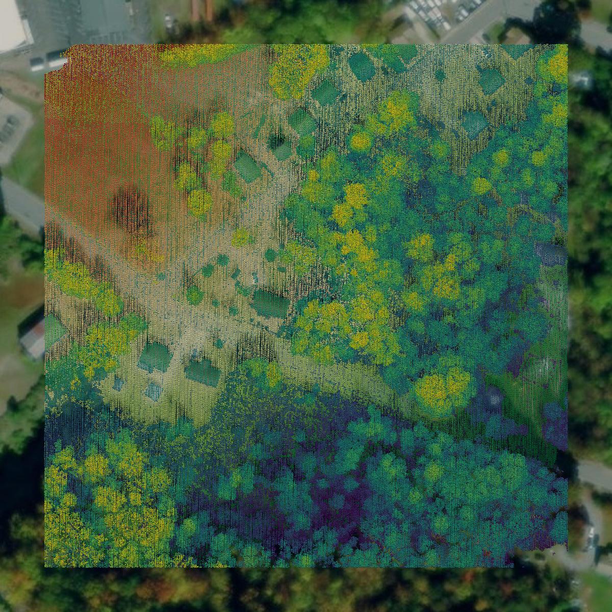 This image shows a LiDAR point cloud in Martinsville city created using GIS data in Equator.