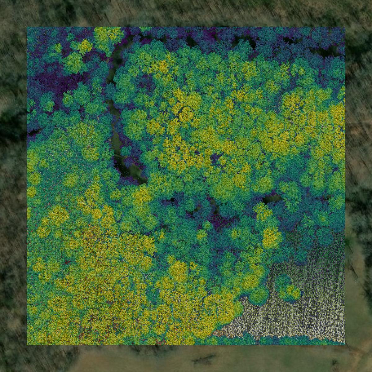 This image shows a LiDAR point cloud in Mecklenburg County created using GIS data in Equator.