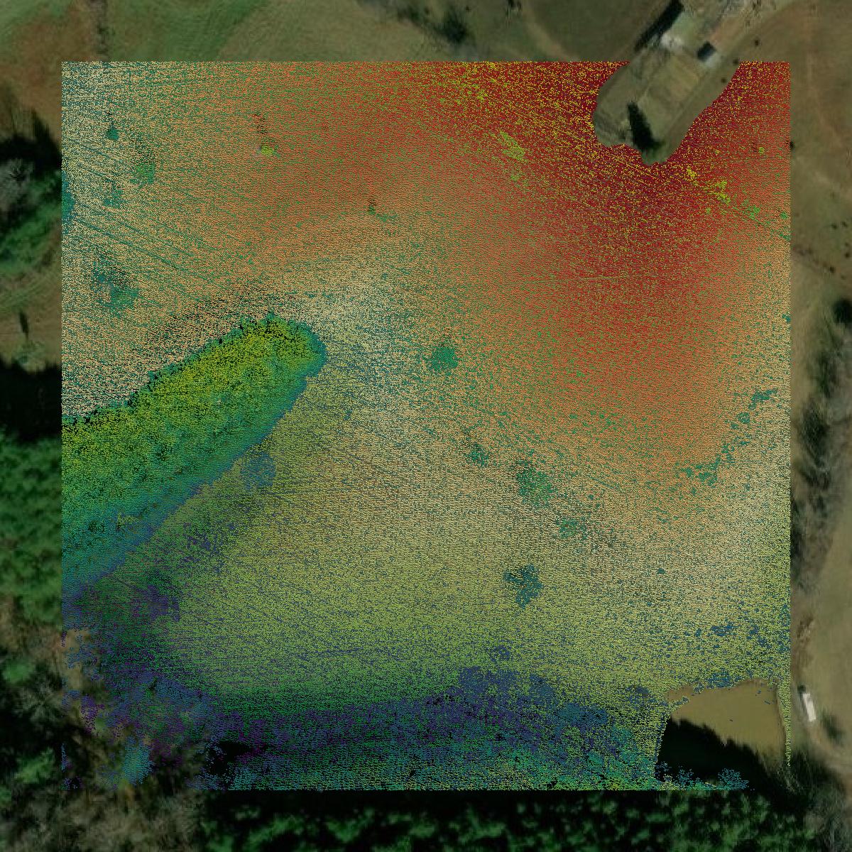 This image shows a LiDAR point cloud in Montgomery County created using GIS data in Equator.