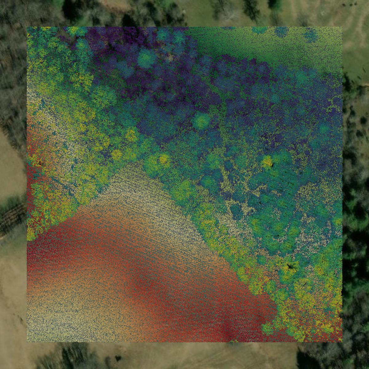This image shows a LiDAR point cloud in Montgomery County created using GIS data in Equator.