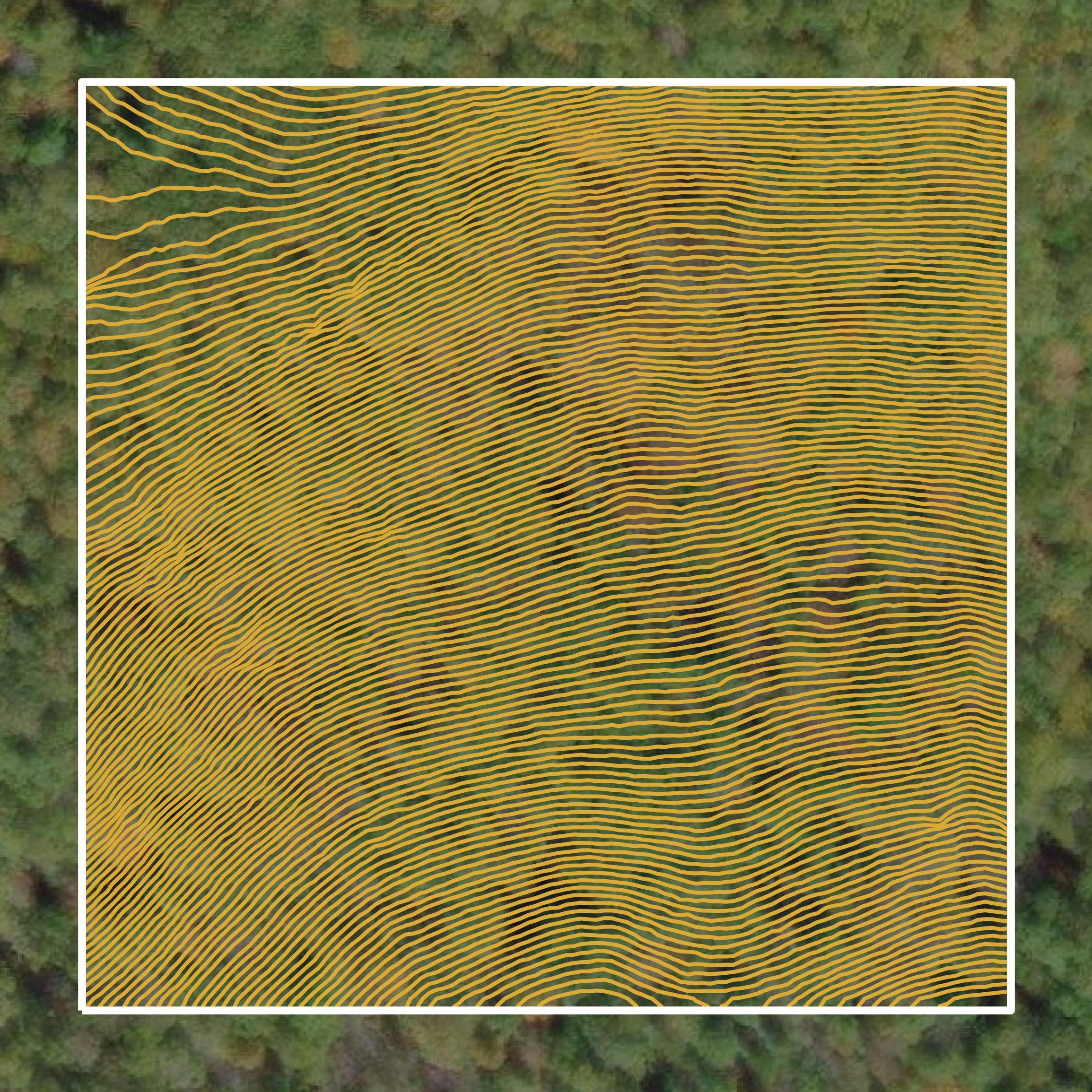 This image shows a contour map in Nelson County created using GIS data in Equator.