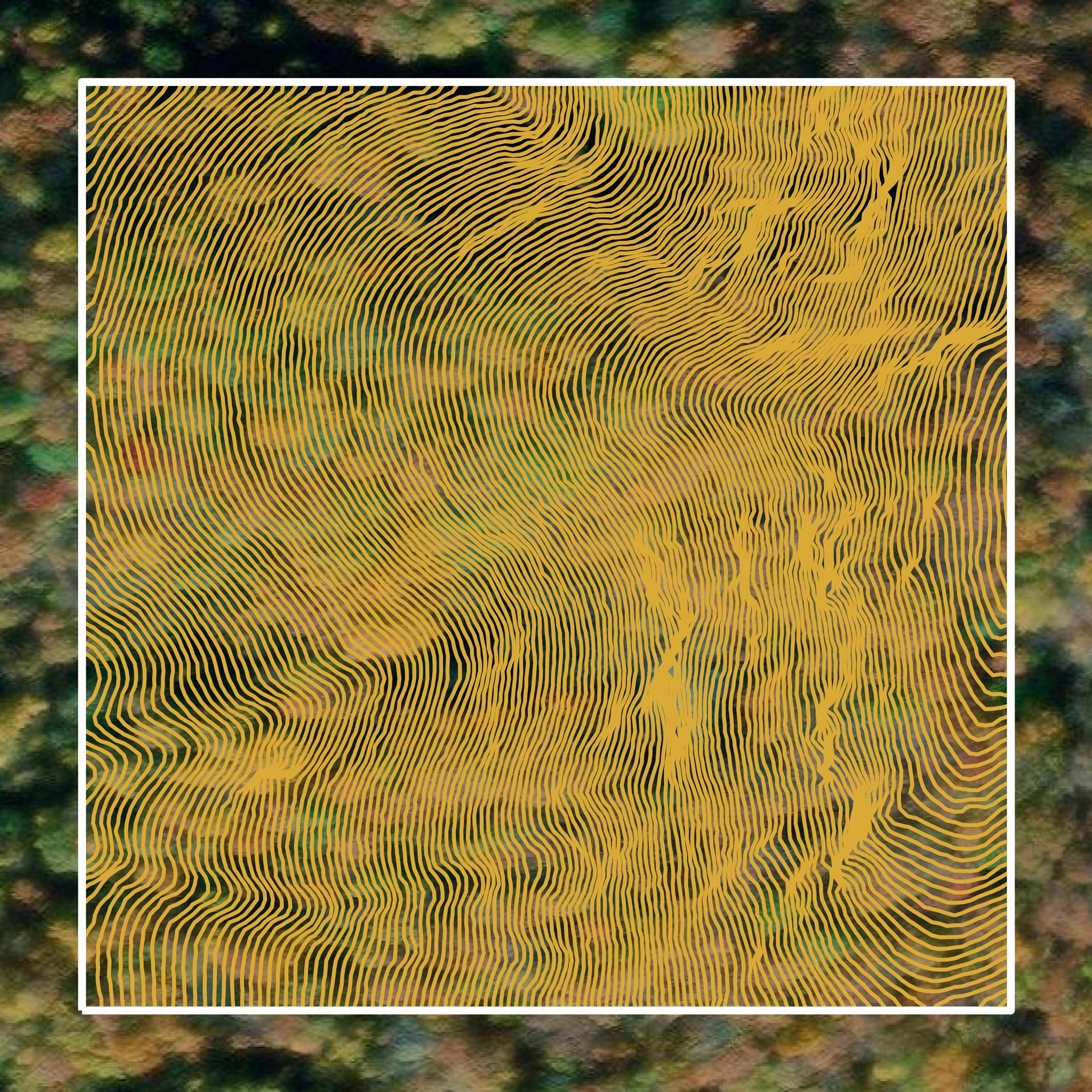 This image shows a contour map in Nelson County created using GIS data in Equator.
