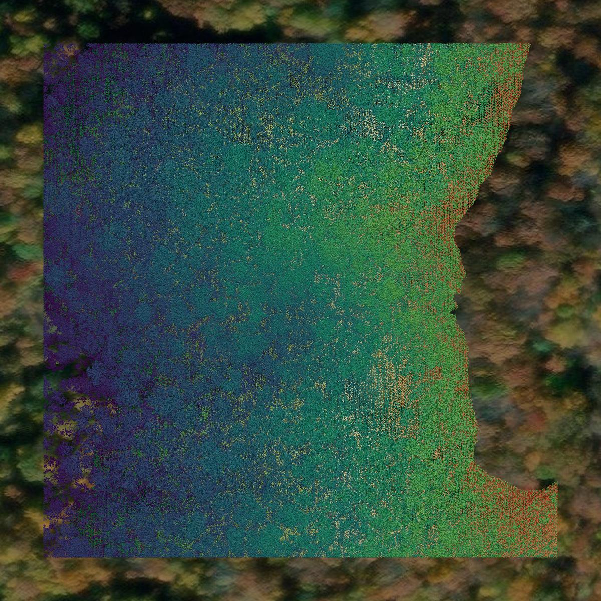 This image shows a LiDAR point cloud in Nelson County created using GIS data in Equator.