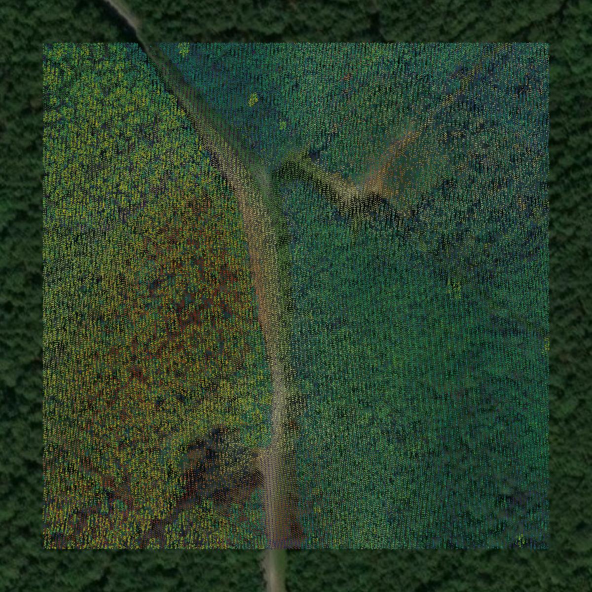 This image shows a LiDAR point cloud in New Kent County created using GIS data in Equator.