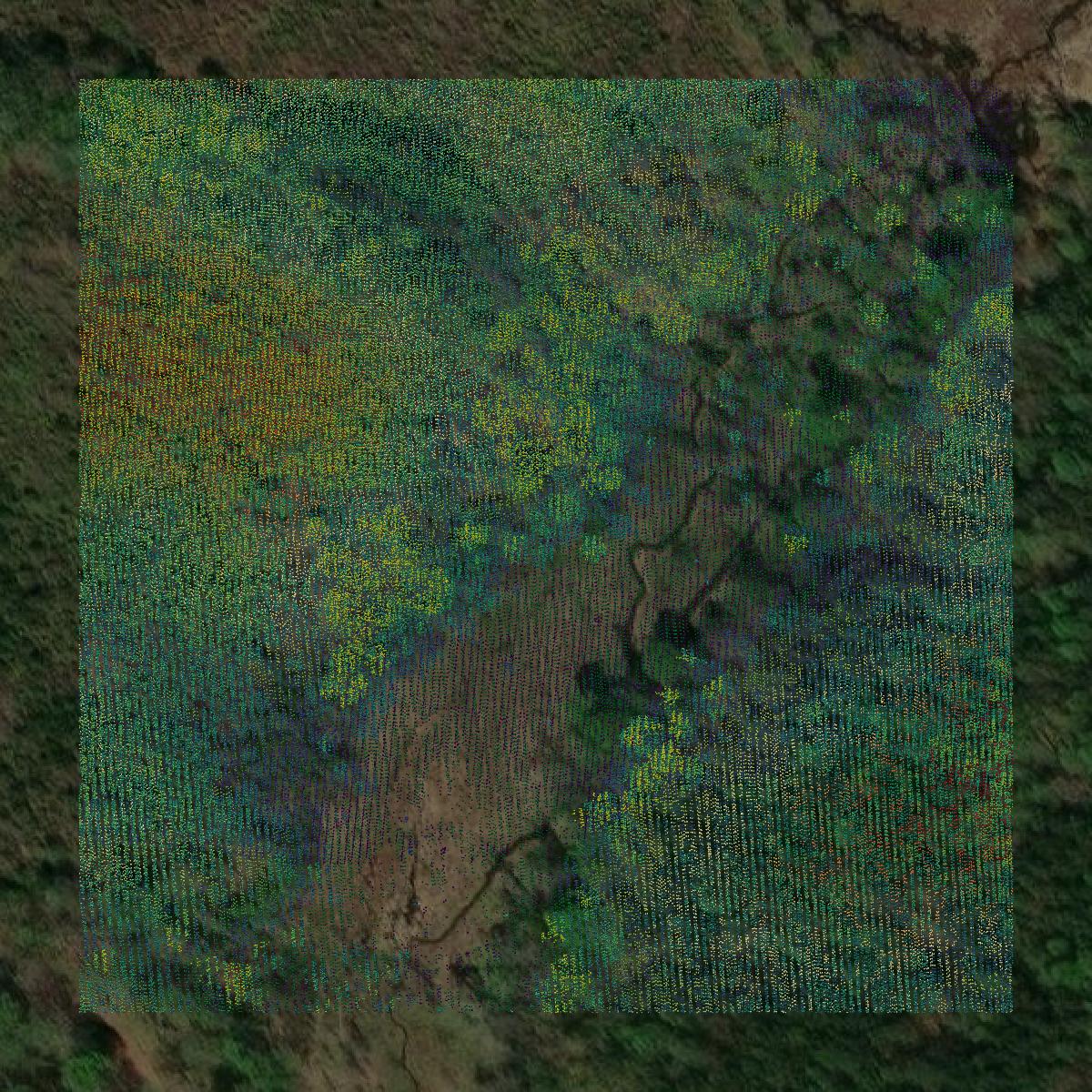 This image shows a LiDAR point cloud in New Kent County created using GIS data in Equator.