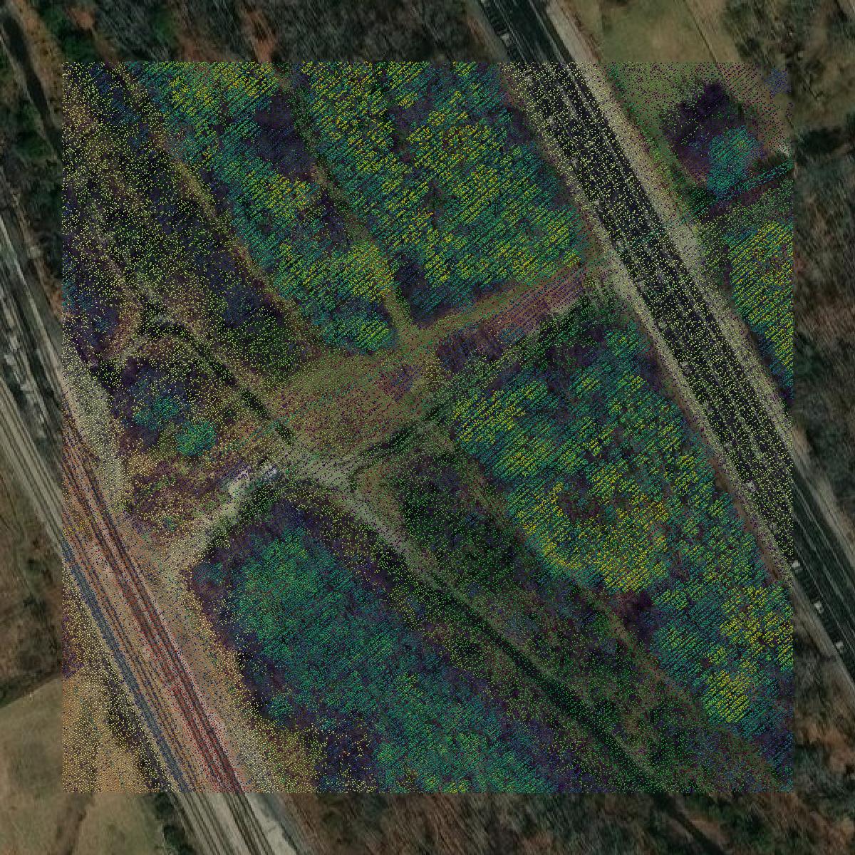 This image shows a LiDAR point cloud in Newport News city created using GIS data in Equator.