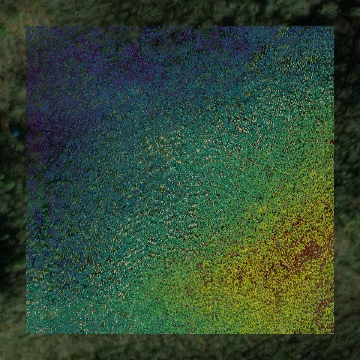 This image shows a LiDAR point cloud in Norton city created using GIS data in Equator.