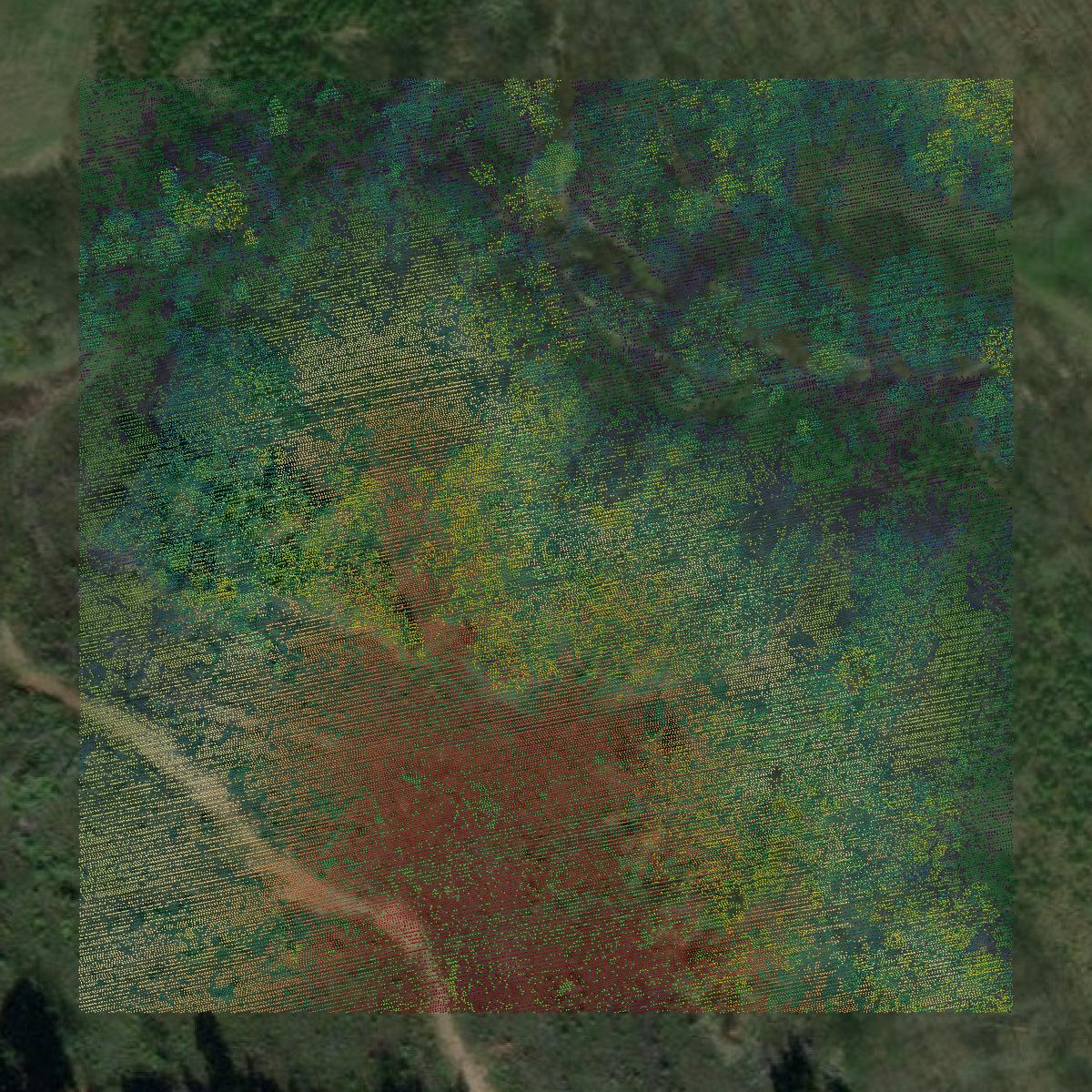 This image shows a LiDAR point cloud in Nottoway County created using GIS data in Equator.