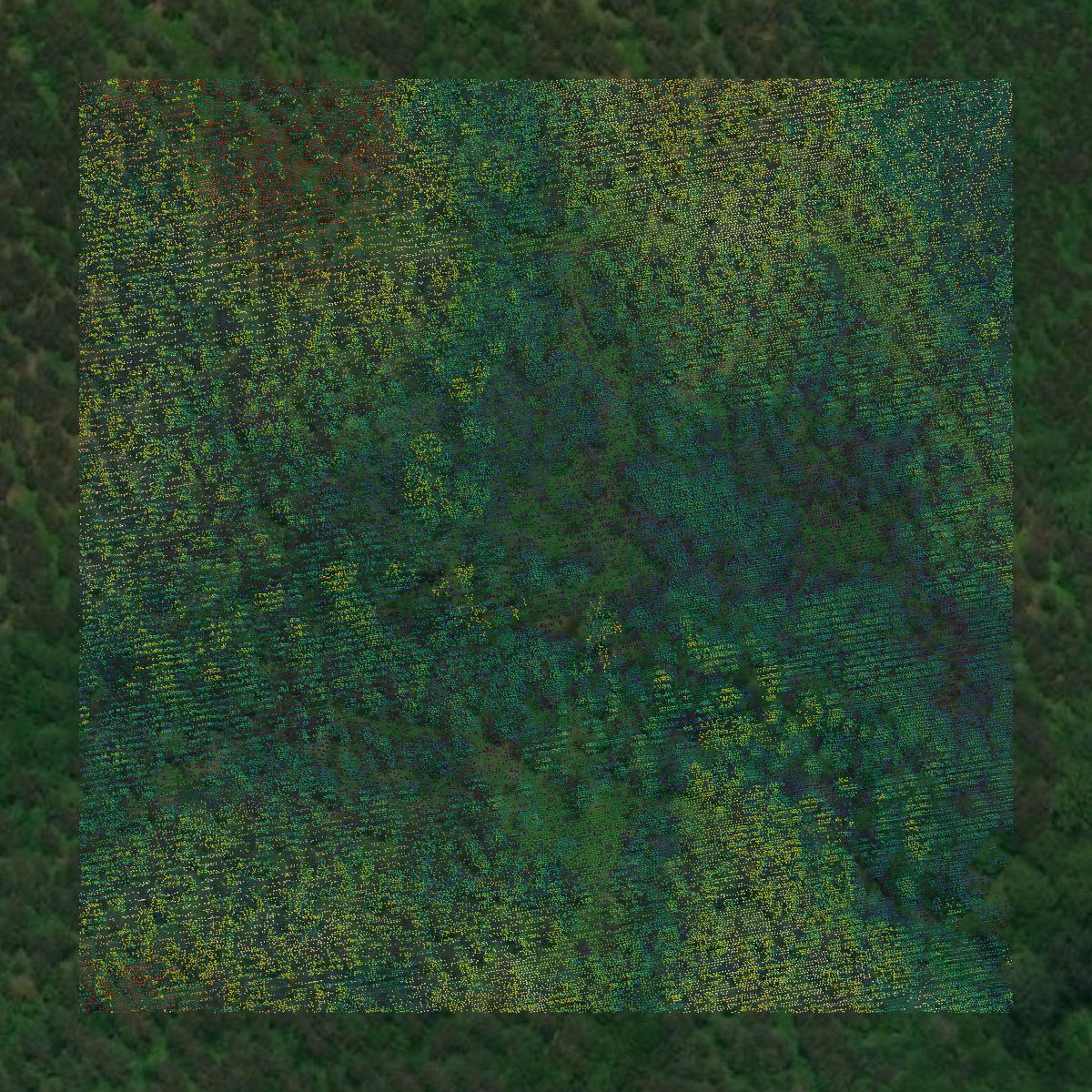 This image shows a LiDAR point cloud in Nottoway County created using GIS data in Equator.