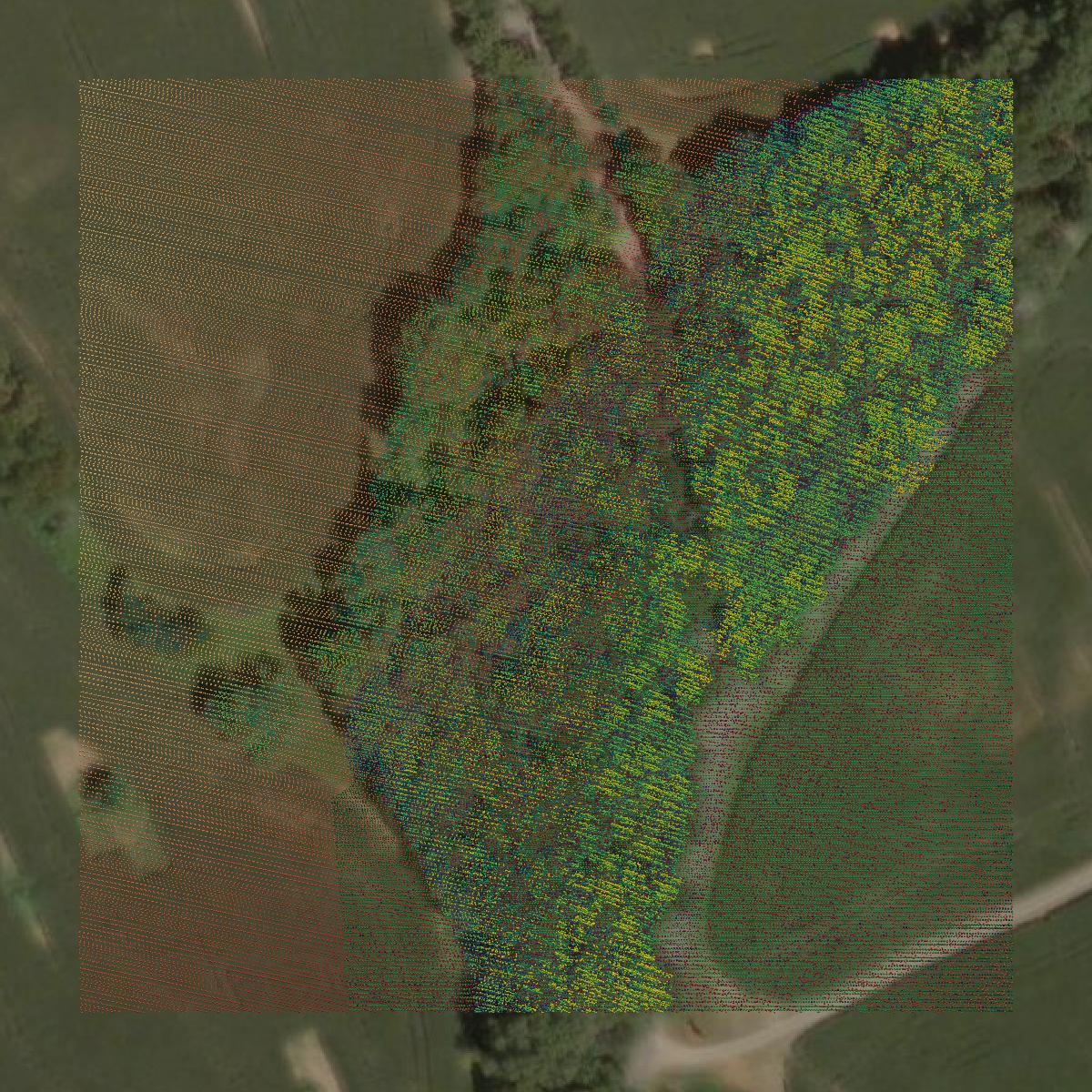 This image shows a LiDAR point cloud in Orange County created using GIS data in Equator.