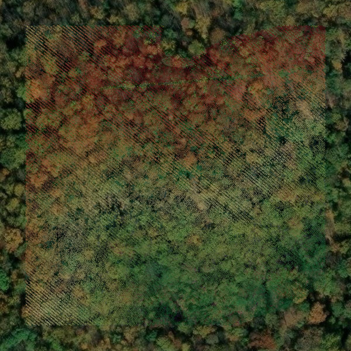 This image shows a LiDAR point cloud in Orange County created using GIS data in Equator.