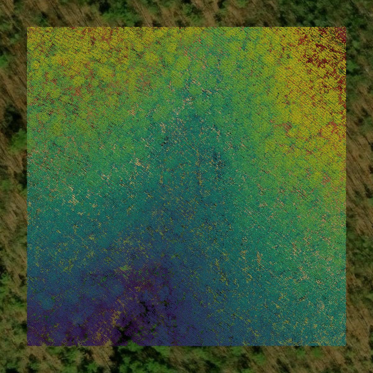 This image shows a LiDAR point cloud in Page County created using GIS data in Equator.