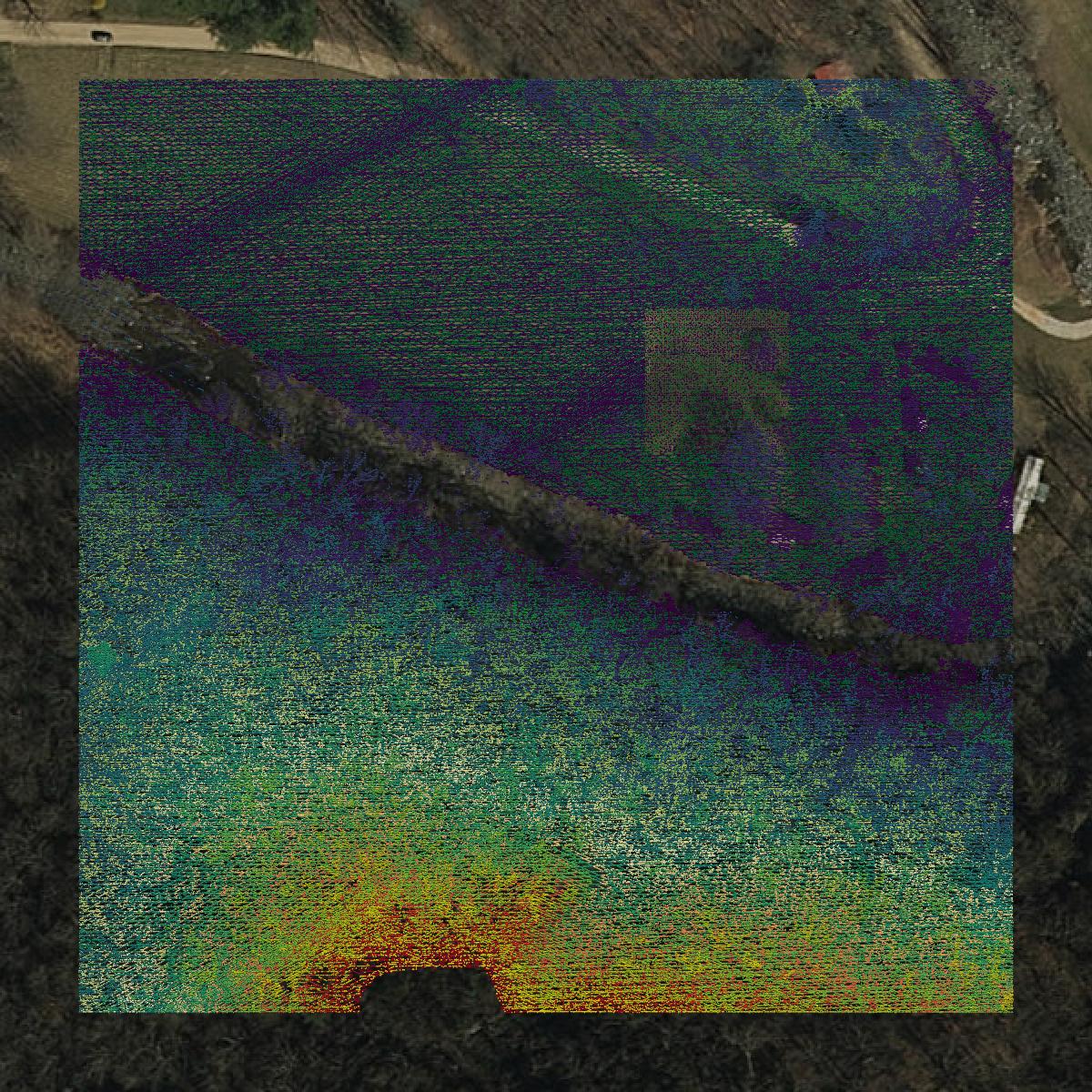 This image shows a LiDAR point cloud in Patrick County created using GIS data in Equator.